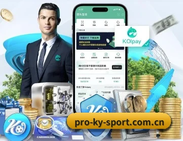 开云官方入口 APP
